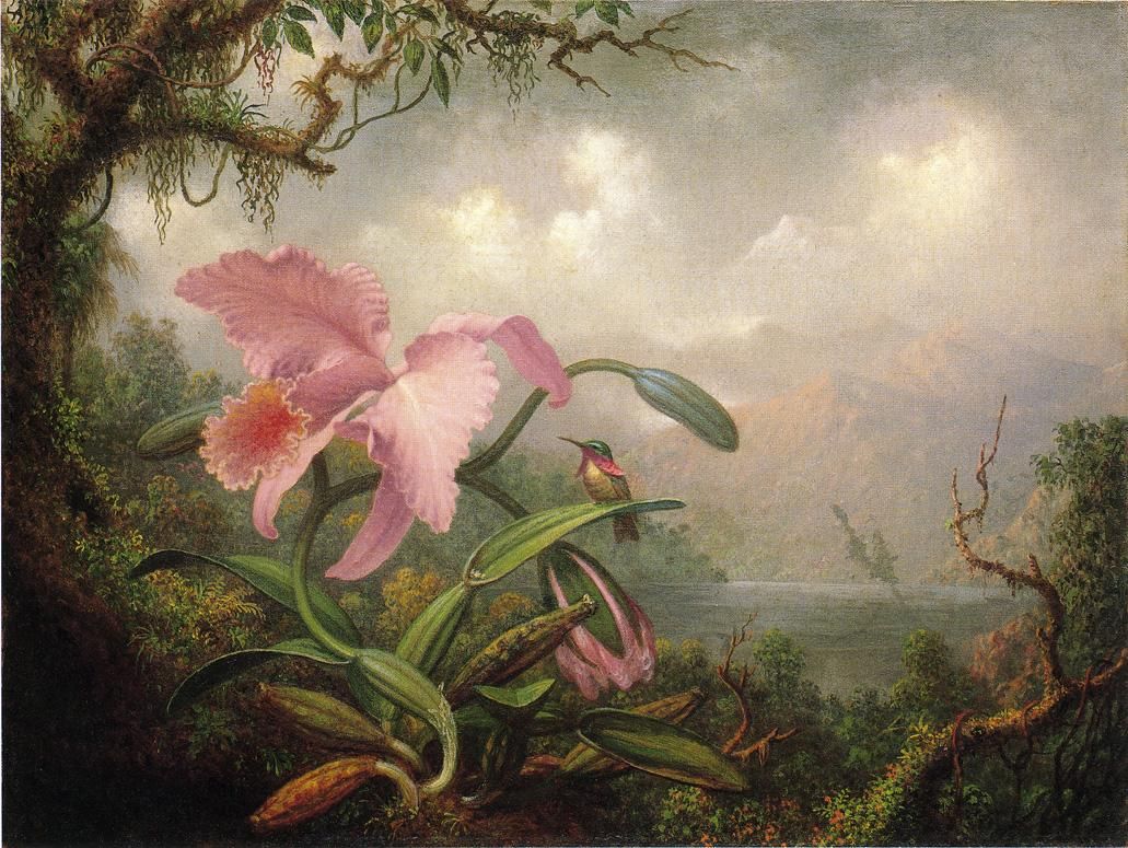 Martin Johnson Heade and the Hudson River School | Tutt'Art@ | Pittura ...